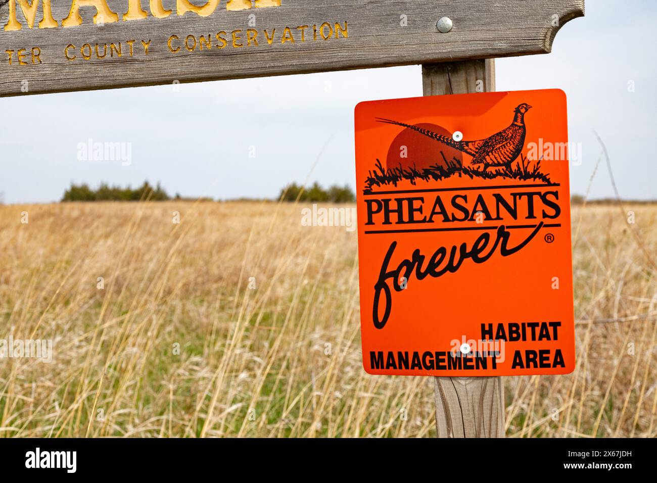 Fort Dodge, Iowa - Whispering Wings Marsh, a wetlands habitat conservation area where pheasants and ducks can be hunted. Stock Photo