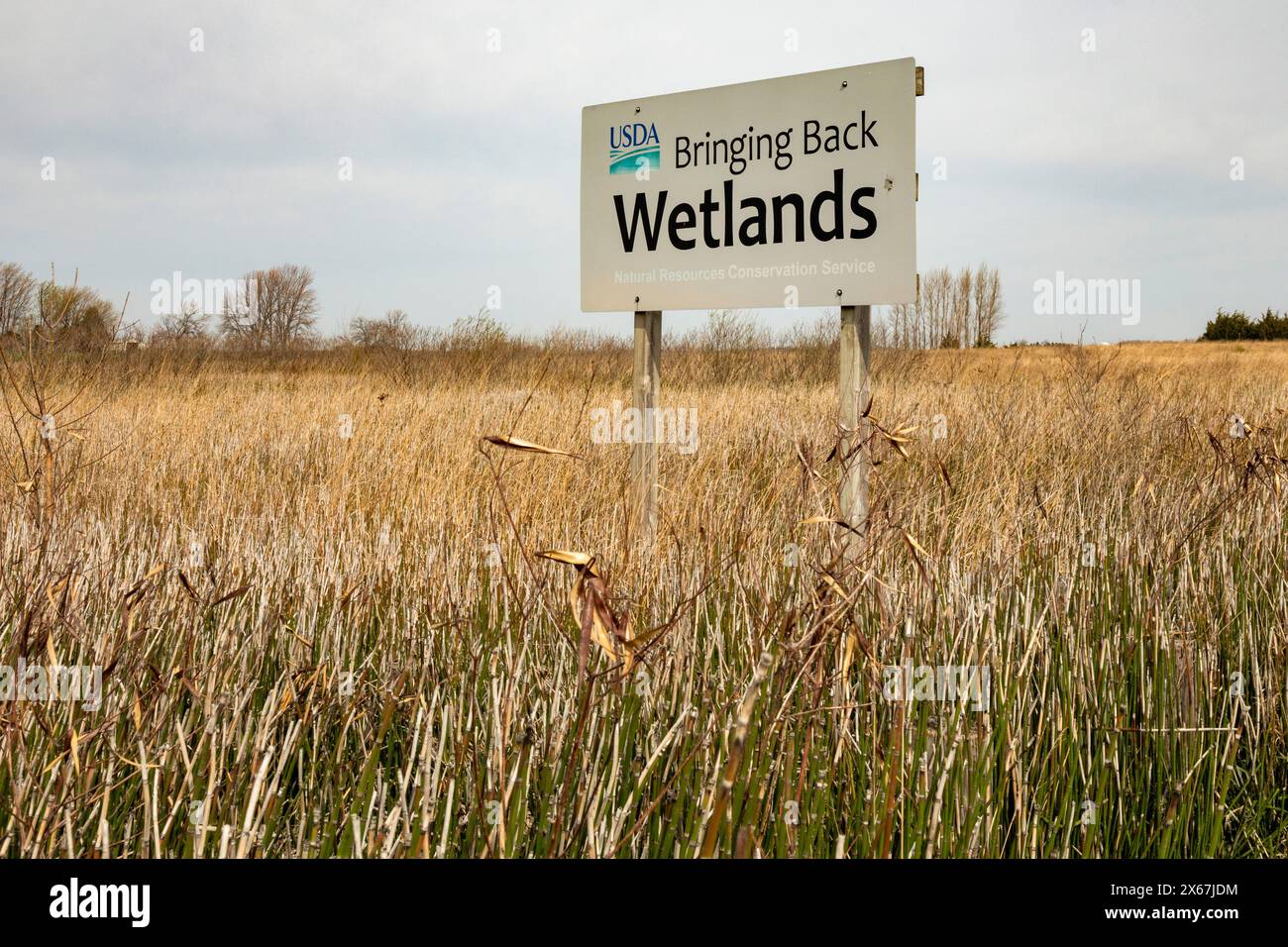 Fort Dodge, Iowa - Whispering Wings Marsh, a wetlands habitat conservation area where pheasants and ducks can be hunted. Stock Photo