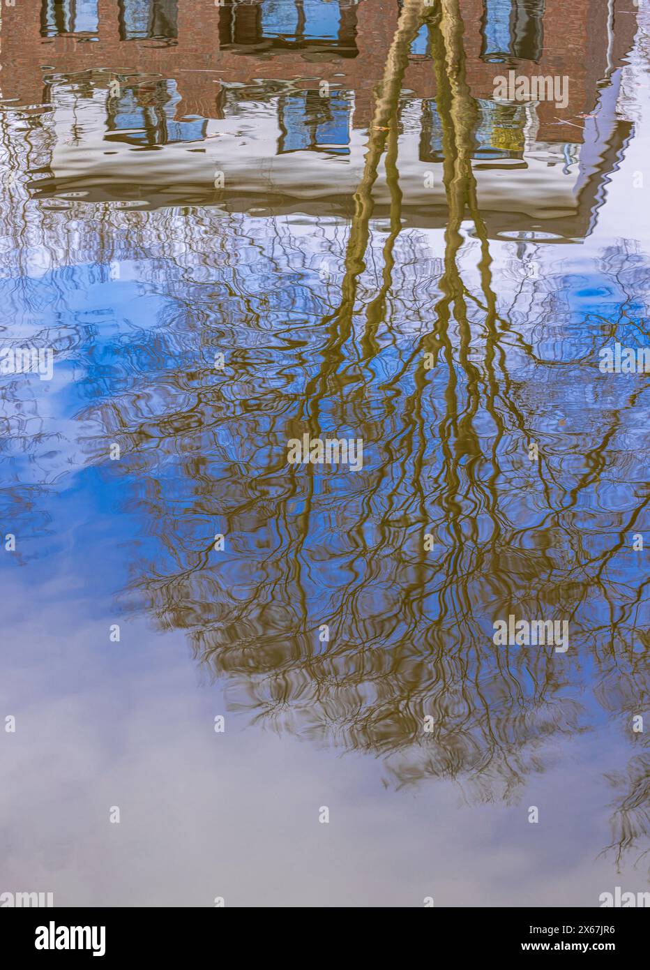 Trees are reflected on the surface of the water Stock Photo - Alamy