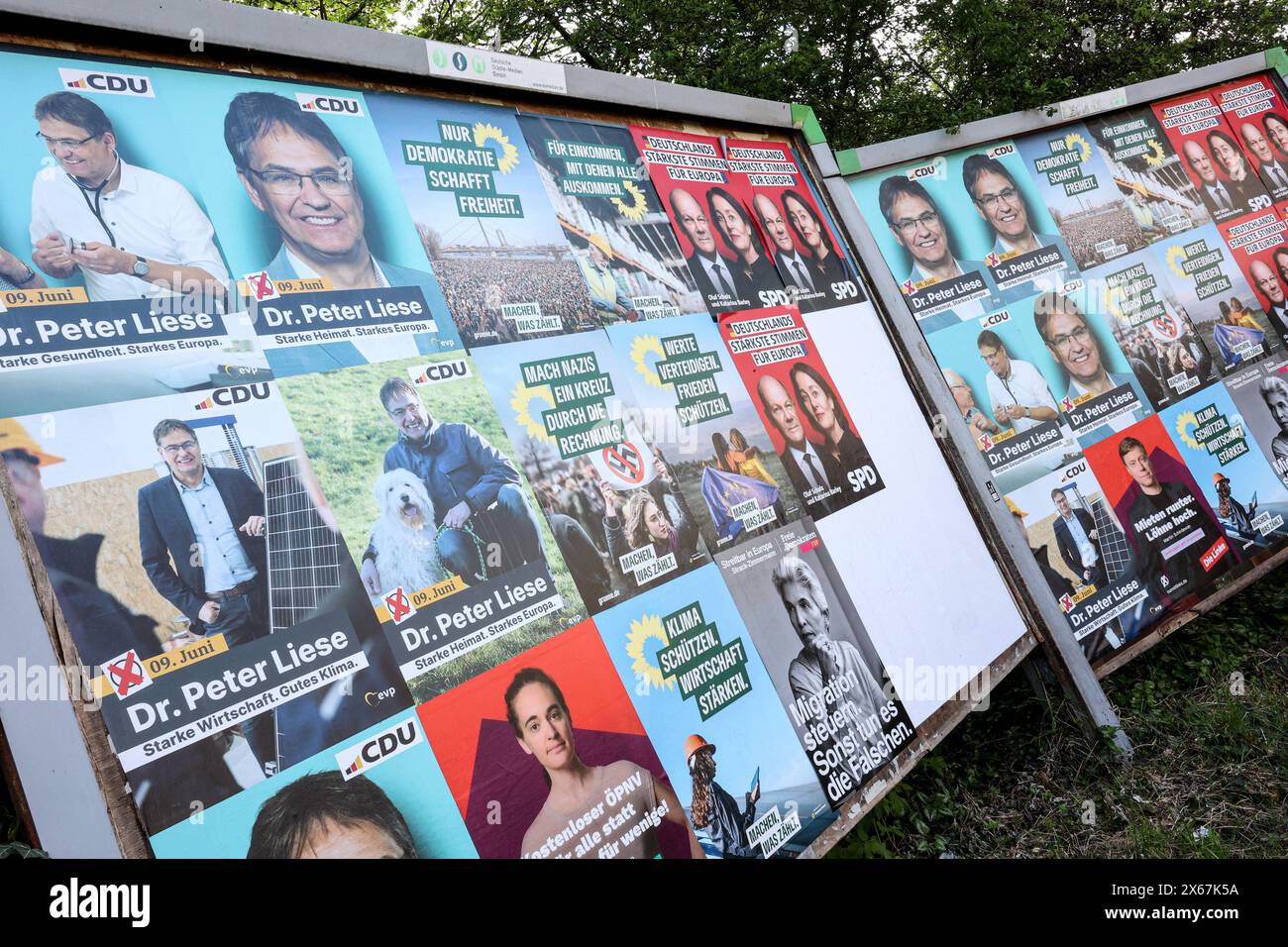 Wahlplakate zur Europawahl 2024 der CDU, FDP, Gruene Grüne, Die Linke ...