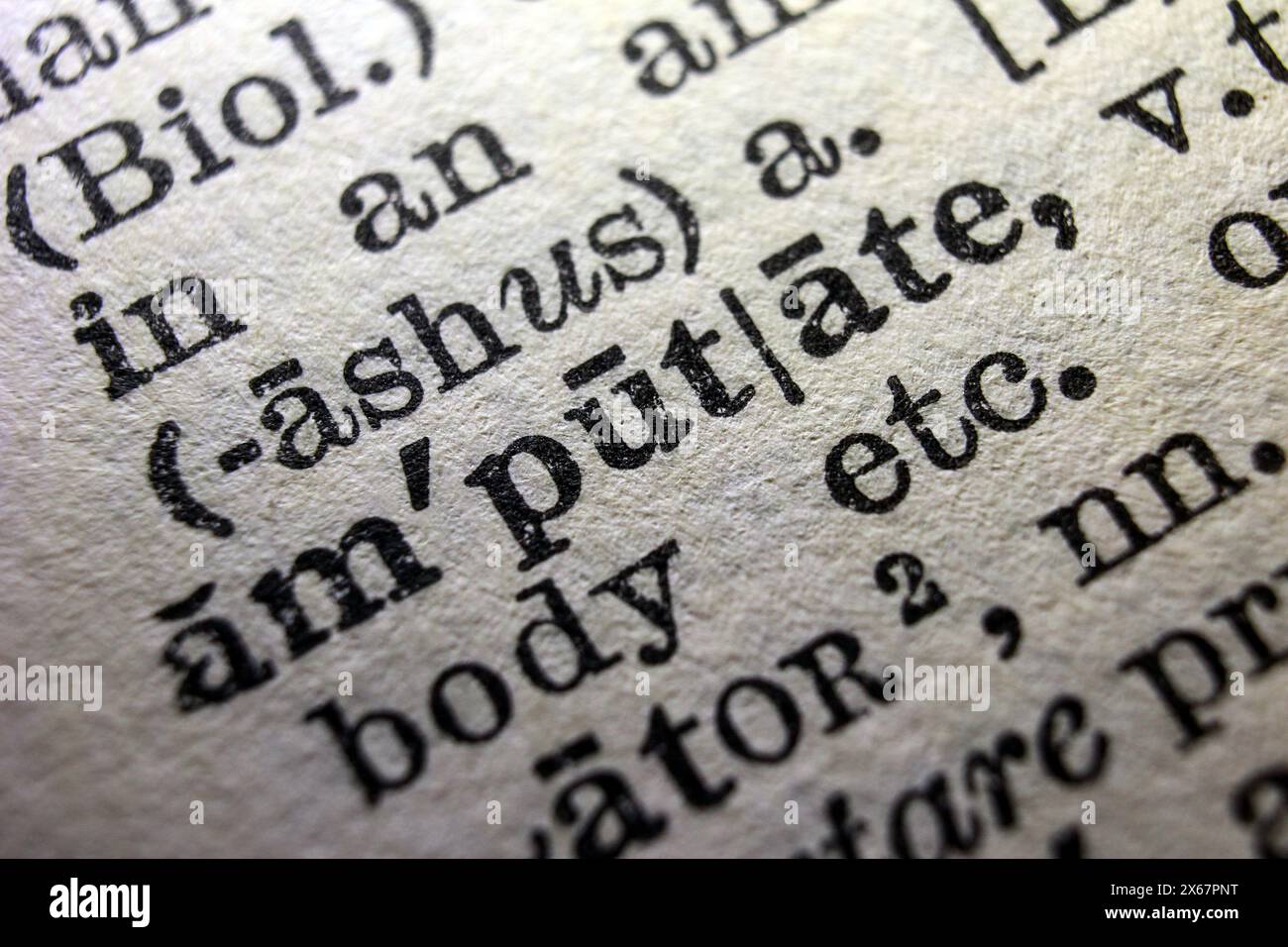 Word amputate on dictionary page, macro close-up Stock Photo - Alamy