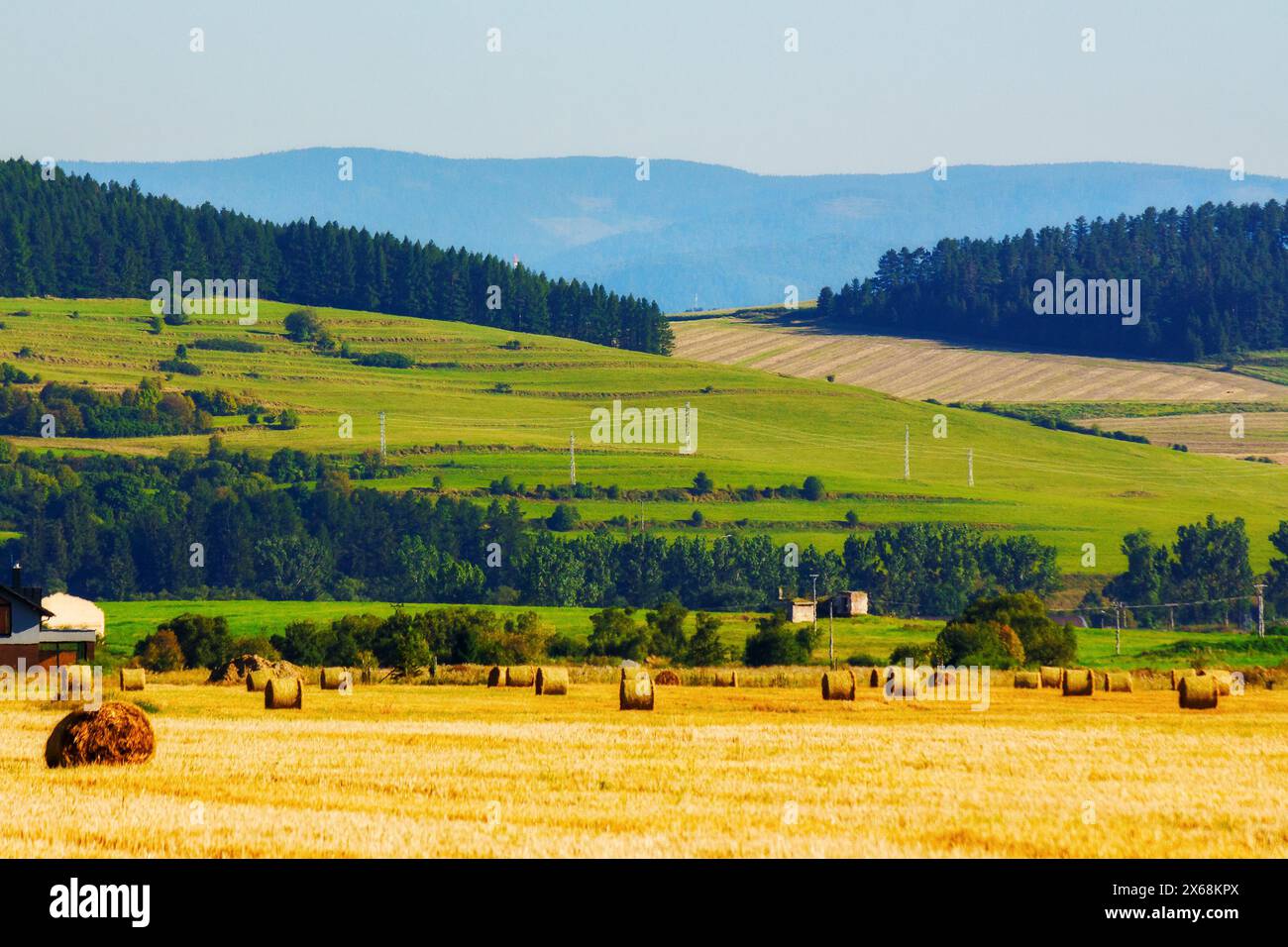 haystacks on the grassy field in slovakia. rural scenery of presov region in late summer. rolling countryside landscpee in evening light Stock Photo