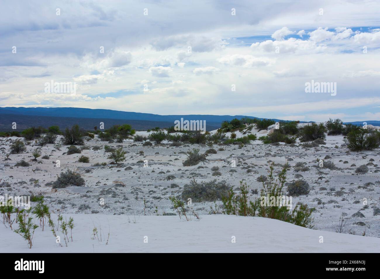 The hard-to-find white desert in the world located in Coahuila Mexico also known as Yeso dunes Stock Photo