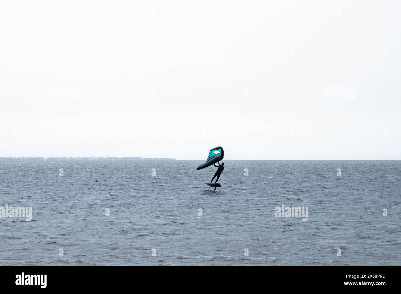 Single Windsurfer in  Pamlico Sound Stock Photo