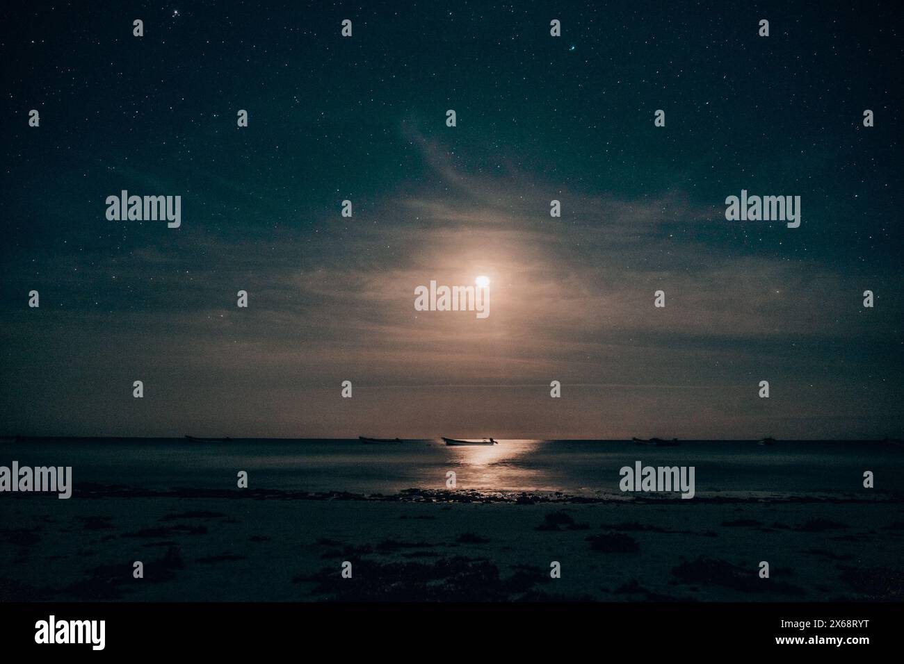 Moonlit beach with palms under starry sky in Tulum Stock Photo