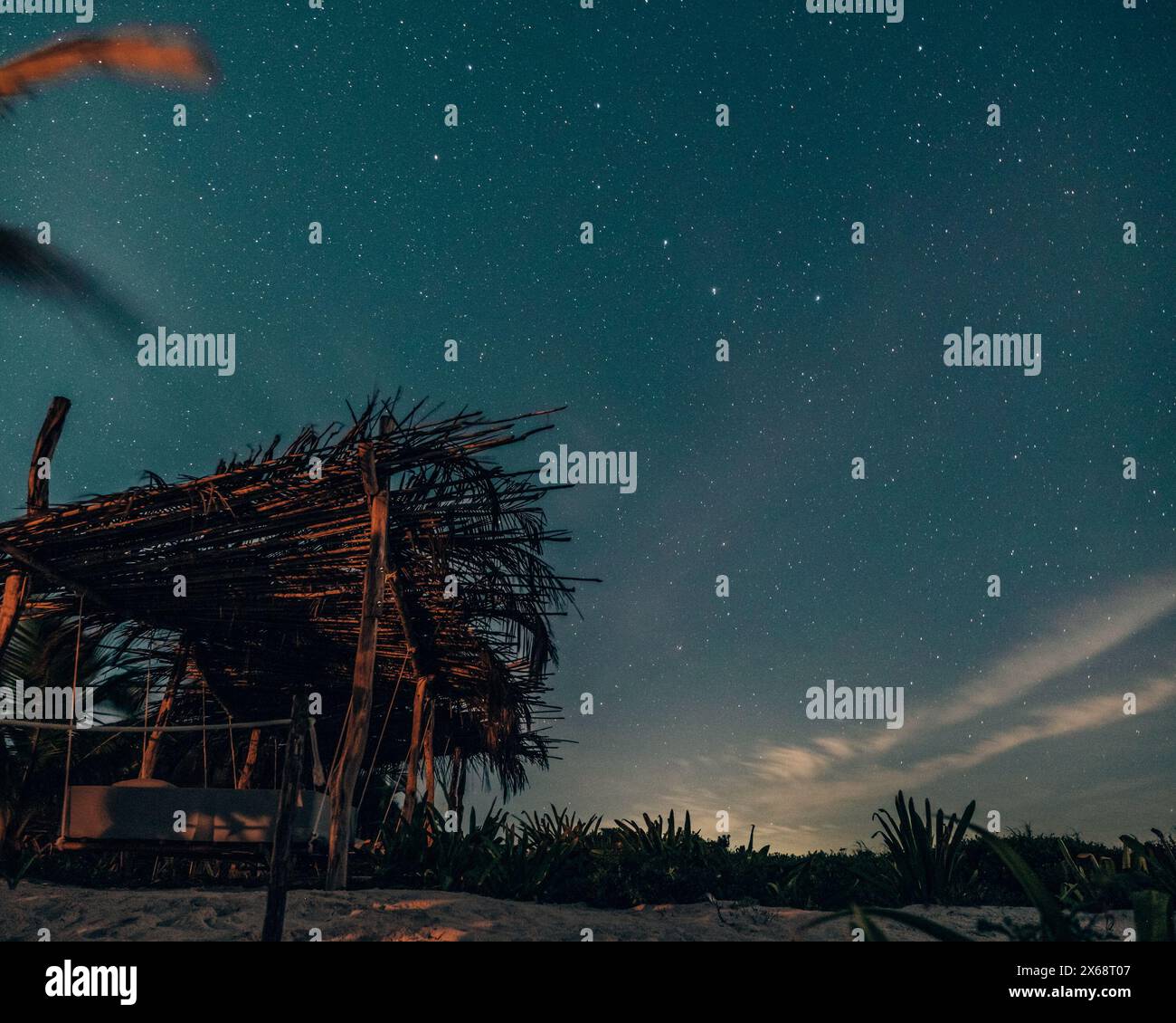 Moonlit beach with palms under starry sky in Tulum Stock Photo