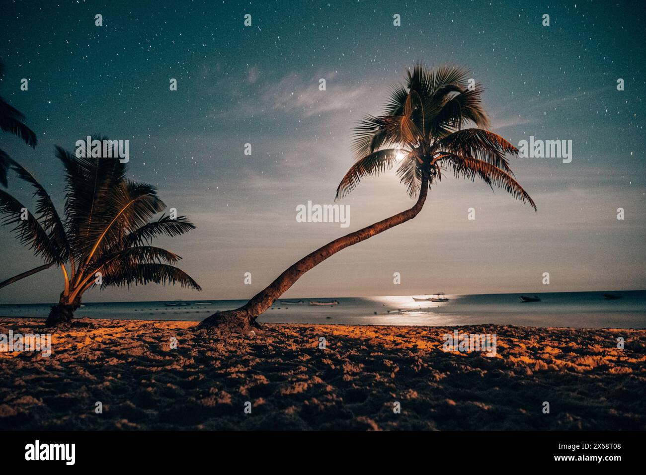 Moonlit beach with palms under starry sky in Tulum Stock Photo