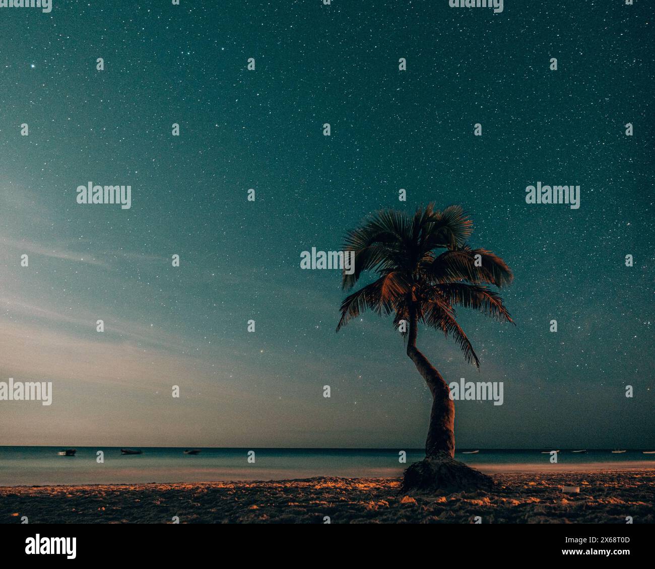 Moonlit beach with palms under starry sky in Tulum Stock Photo
