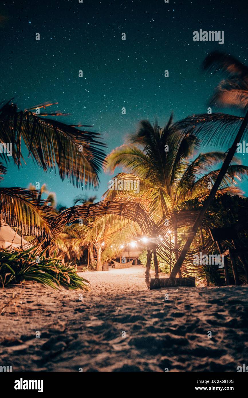 Moonlit beach with palms under starry sky in Tulum Stock Photo