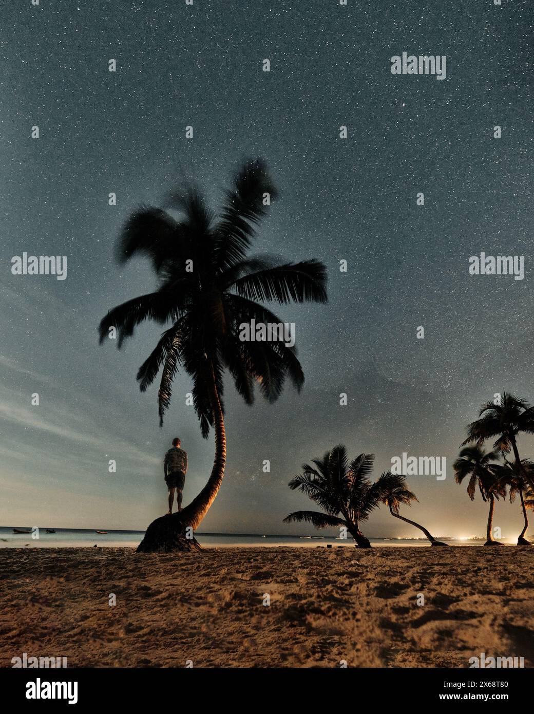 Moonlit beach with palms under starry sky in Tulum Stock Photo
