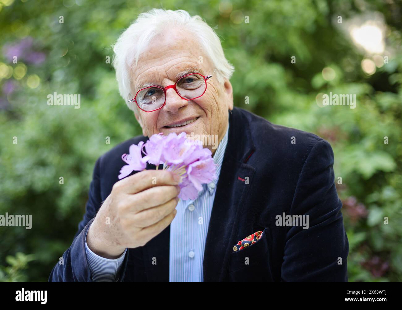 Hamburg, Germany. 13th May, 2024. Justus Frantz, conductor, smells a flower during a photo session in his garden before the book launch of his biography. The biography ''Justus Frantz - Künstler zwischen den Welten'', written by Jens Meyer-Odewald, will be published by Maximilian Verlag on May 18 to mark Frantz's 80th birthday. Credit: Christian Charisius/dpa/Alamy Live News Stock Photo