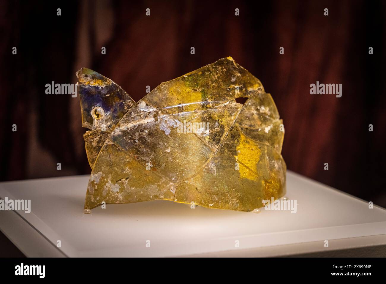 ズキンガラスの剥製(フランス製) 554 ズキンガラス Stock Photos, High-Res Pictures, and Images