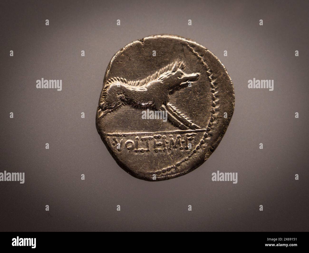 coins from the Iberian period representing the Erymanthian wild boar, Iberian culture, Iberian Museum of Jaén, Andalusia, Spain Stock Photo