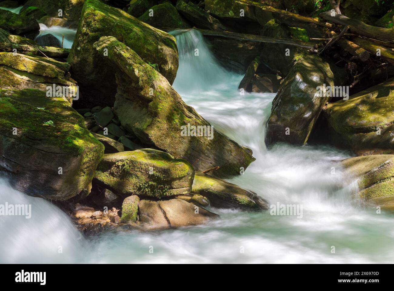 closeup of a small rapid brook among mossy rocks in dappled light. beautiful nature background in summertime. long exposure Stock Photo