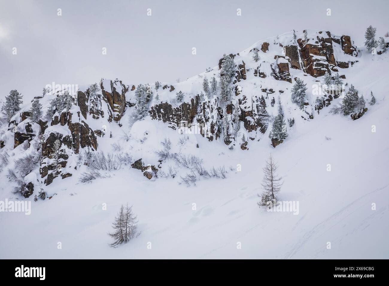 italy, Trentino, Primiero San Martino di Castrozza, minimal winter landscape with rocks and tree, Dolomites Stock Photo
