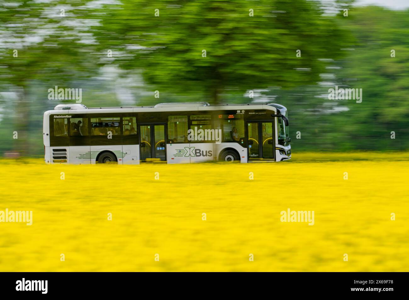 Landscape on the Lower Rhine, XBus line in rural areas, VRR, regional transport, public transport, transport association, B57 federal highway, between Stock Photo