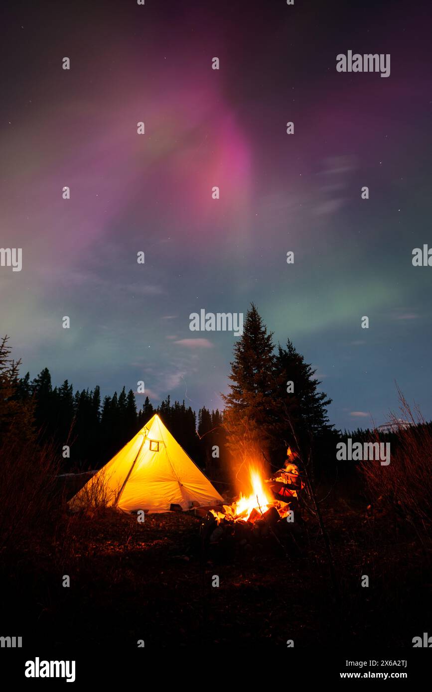 A young woman sits by the campfire, holding her dog on her lap near her tent, with the beautiful aurora borealis illuminating the night sky. Stock Photo