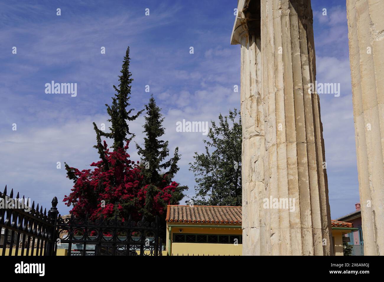 Agora Tree White bougainvillea trees hi-res stock photography and images - Alamy