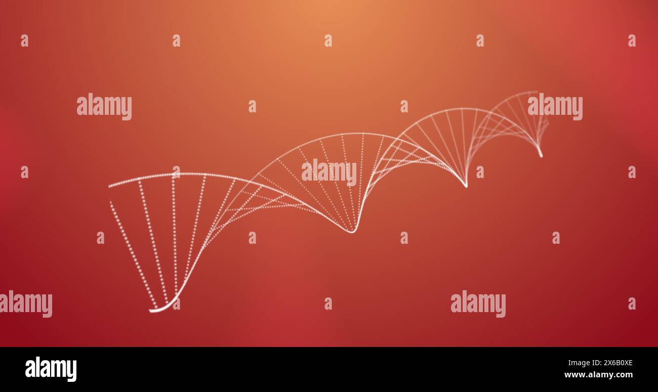 White lines forming DNA helix pattern floating on a red background Stock Photo