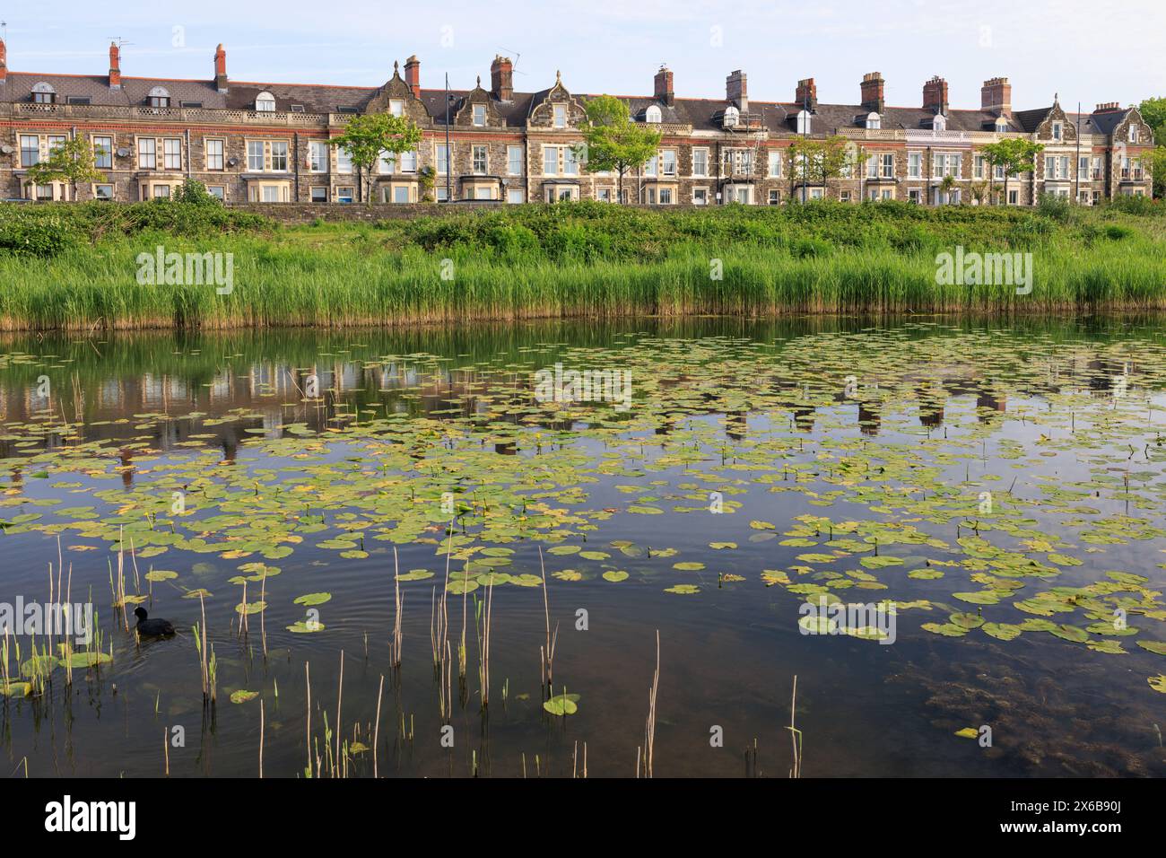 Windsor esplanade hires stock photography and images Alamy