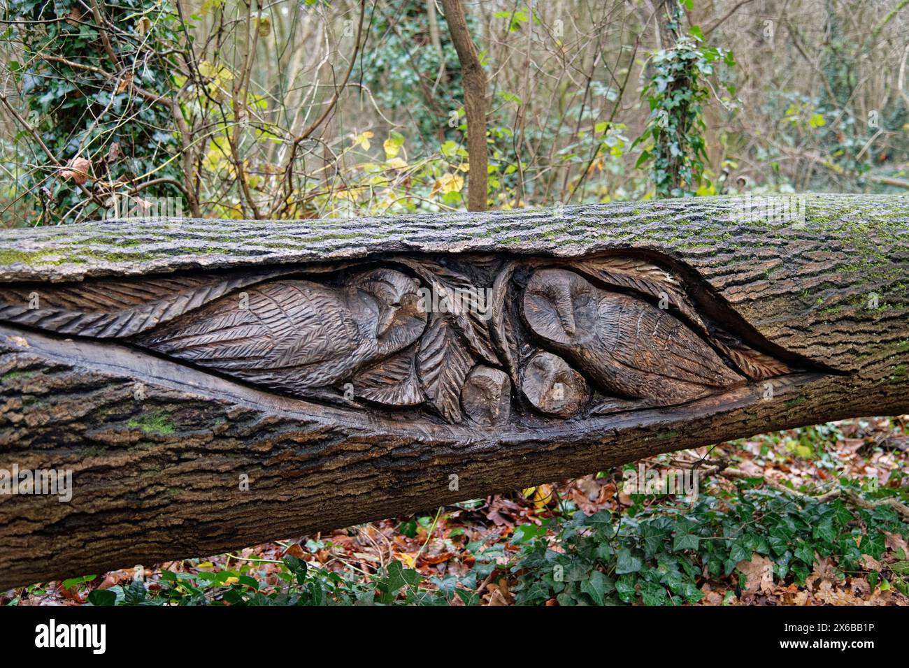 “The Owls” wood carving by Andy O’Neill, part of the sculpture trail at Stoke Park, Bristol, UK, January 2023. Stock Photo
