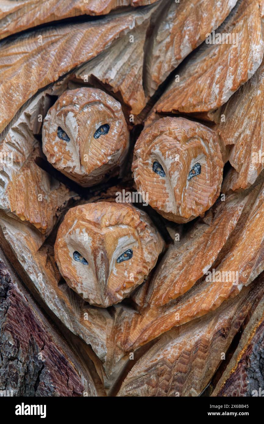 Owl family wood carving by Andy O’Neill, part of the sculpture trail at Stoke Park, Bristol, UK, January 2023. Stock Photo