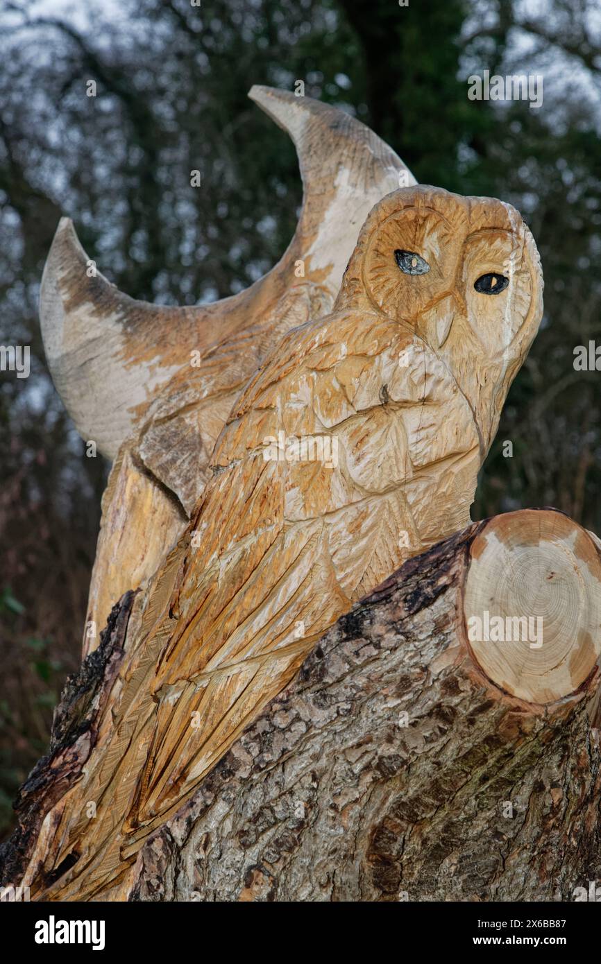 Owl and moon wood carving by Andy O’Neill, part of the sculpture trail at Stoke Park, Bristol, UK, January 2023. Stock Photo
