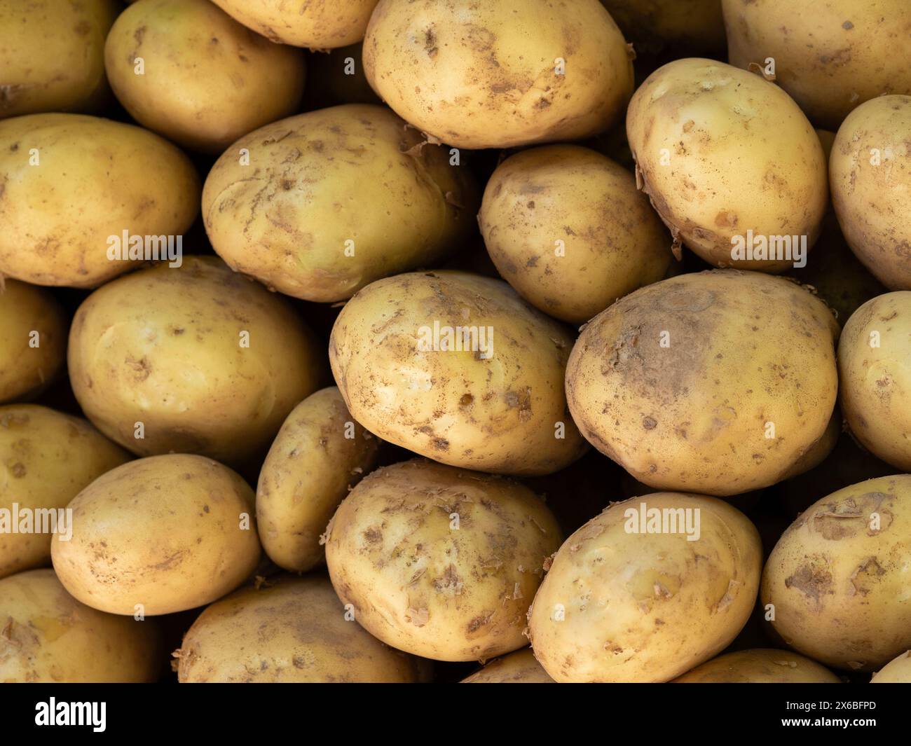Bulk potatoes for sale at the market Stock Photo