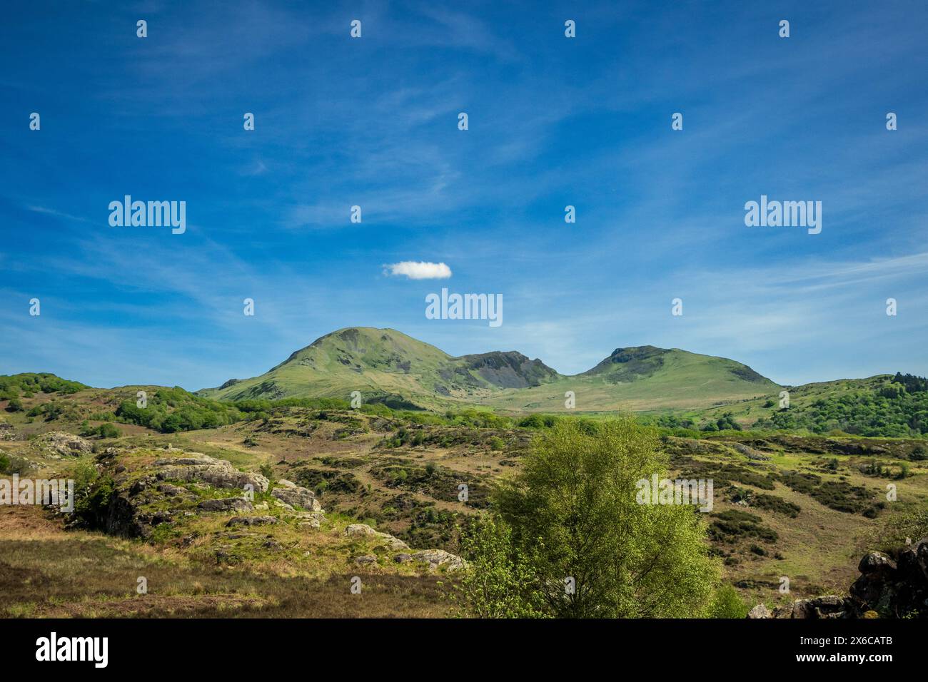 The moors above Bedgellert in Snowdonia North Wales Stock Photo - Alamy