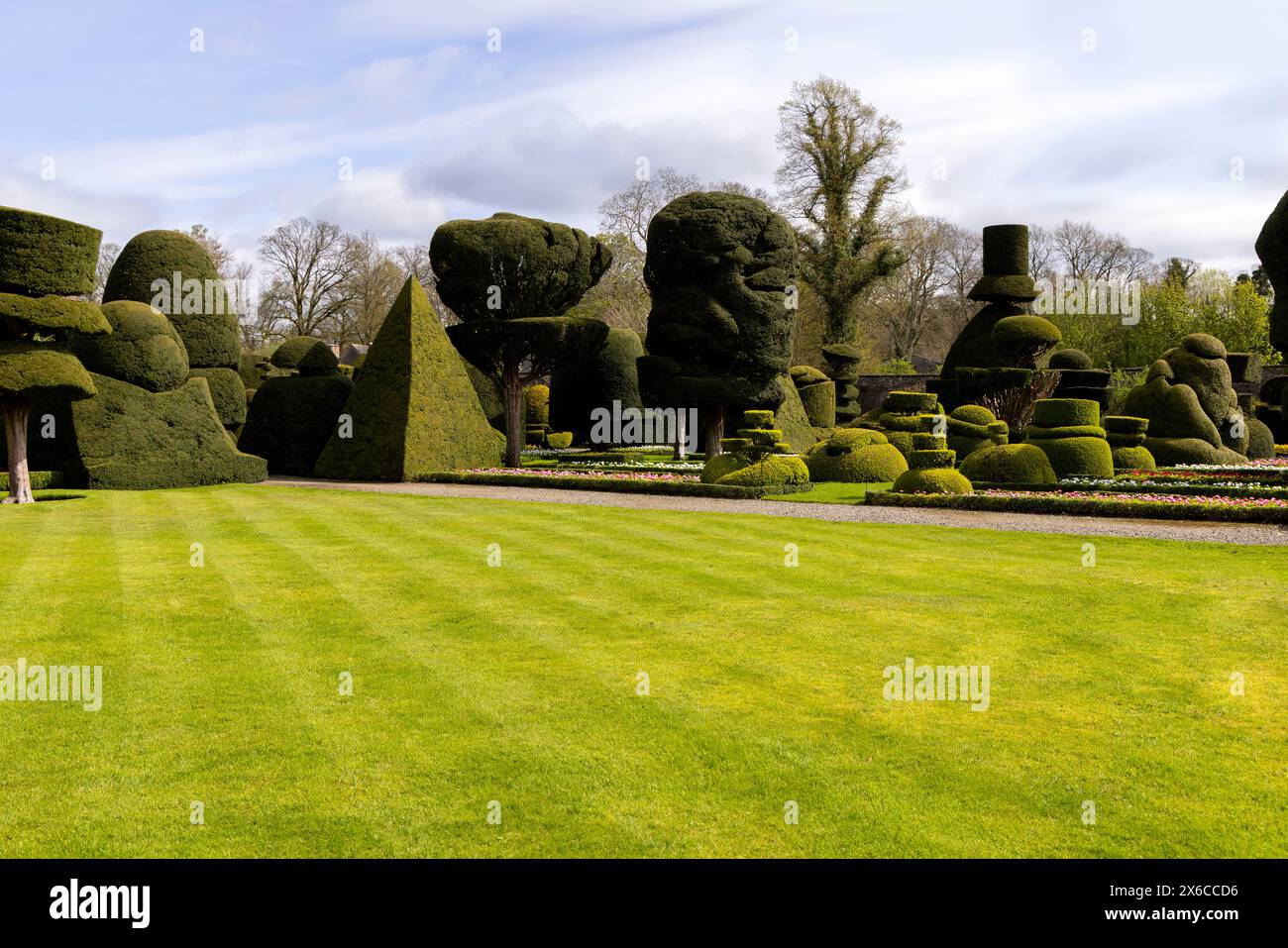 Stunning topiary in the gardens of Levens Hall, Kendal, Lake District, Cumbria, England, Great Britain. Stock Photo