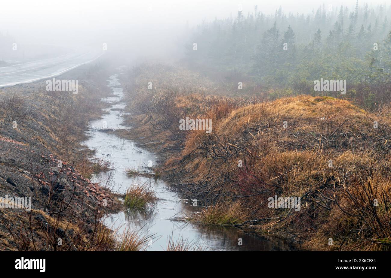 Roadside drainage ditch in fog - views Stock Photo