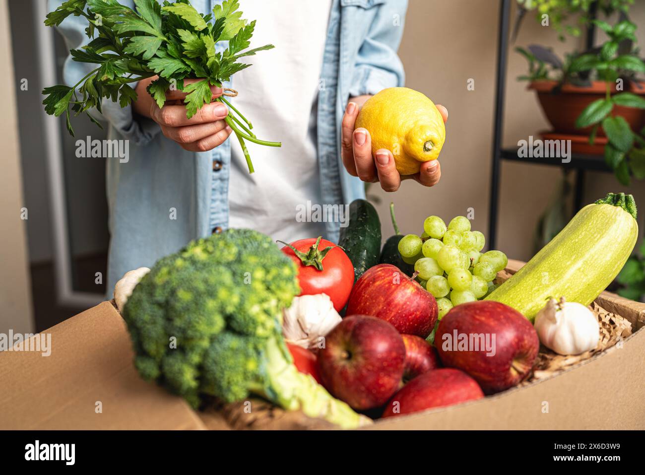 Female person unpacks grocery delivery with farm grown organic vegetables and fruits. Stock Photo