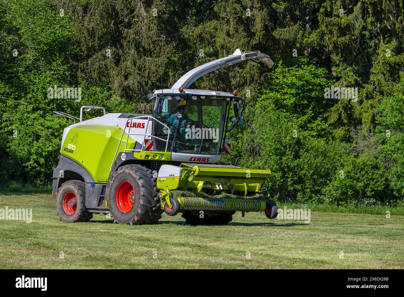 Claas Jaguar 870 forage harvester / self-propelled silage chopper harvesting grass from meadow / pasture Stock Photo