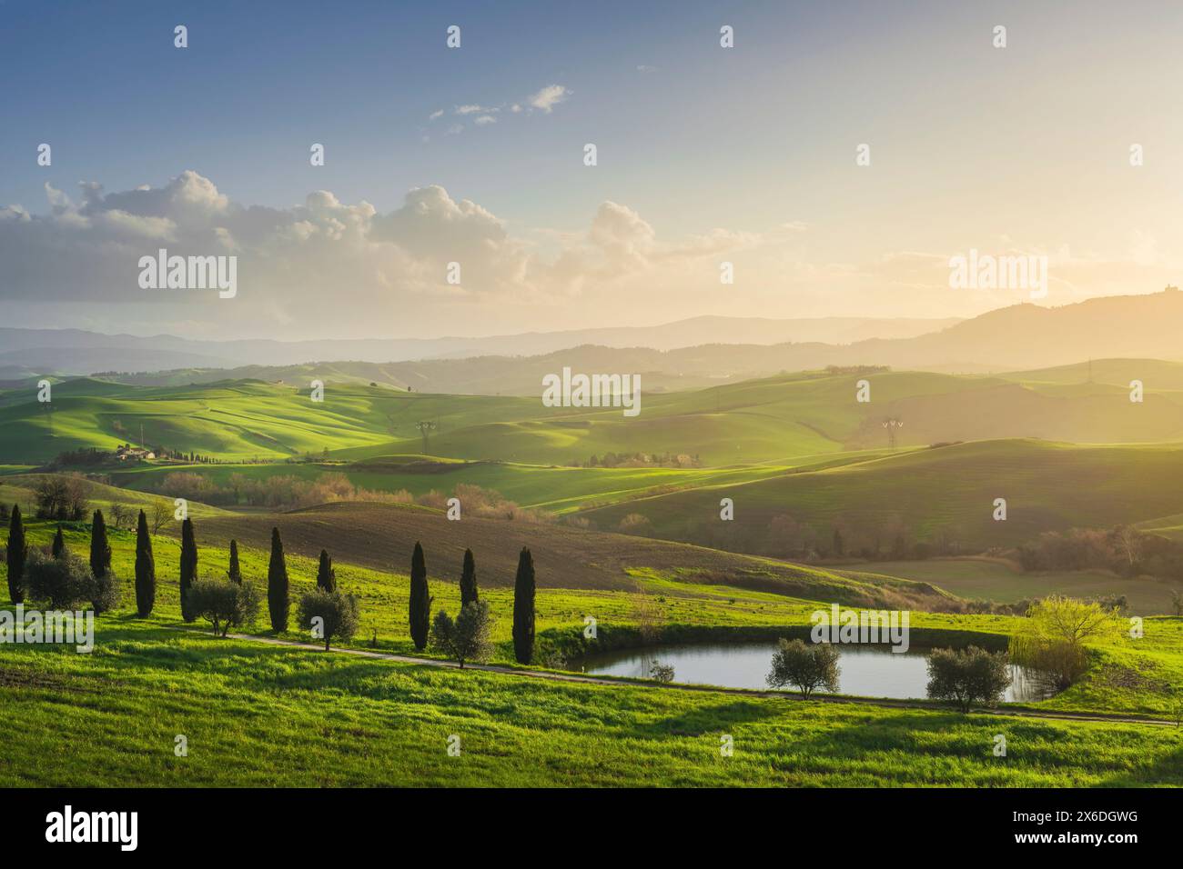 Countryside landscape, rolling hills, small lake, cypresses and olive trees at sunrise. Volterra, Tuscany region, Italy, Europe Stock Photo