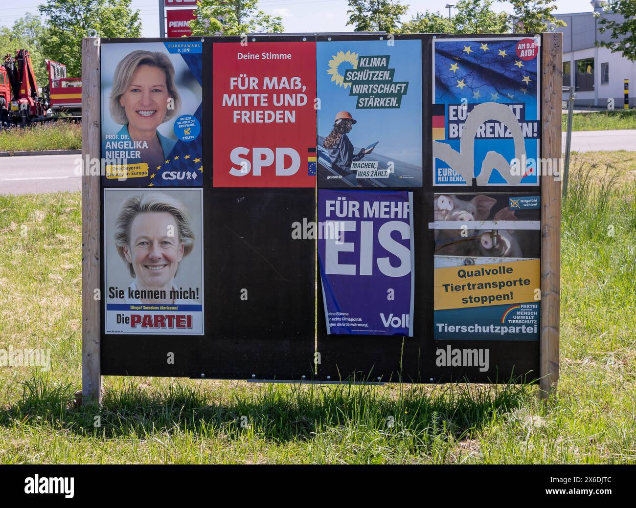 Muenchen GER, Themenbild, Wahlplakate zur Europawahl in Deutschland ...