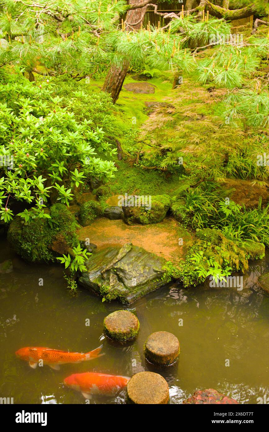 Japan, Kanazawa, Nagamachi, samurai district, Nomura House, garden ...