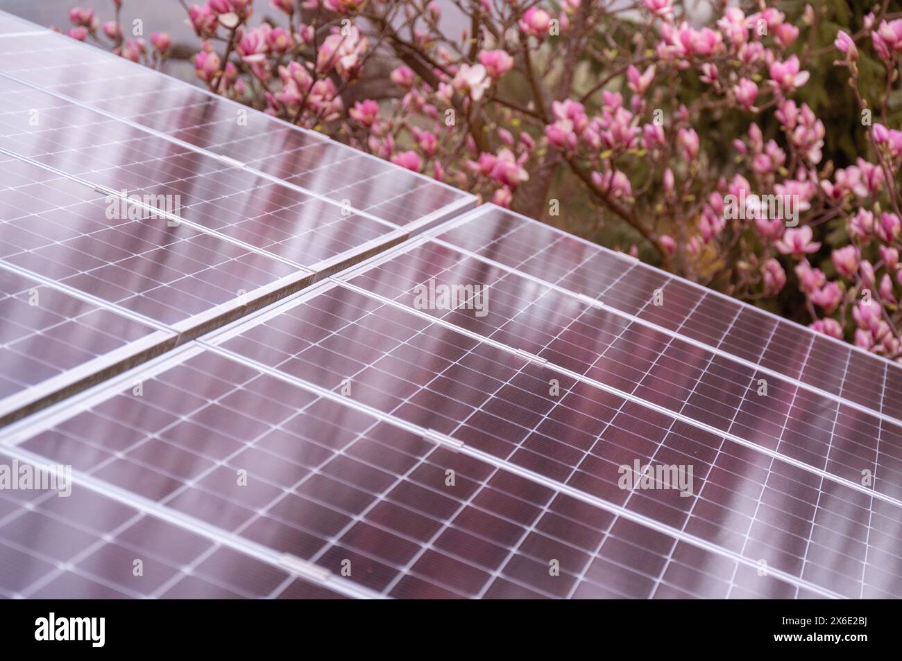 Detailed Solar Detailed close up photovoltaic solar hi-res stock photography and ...