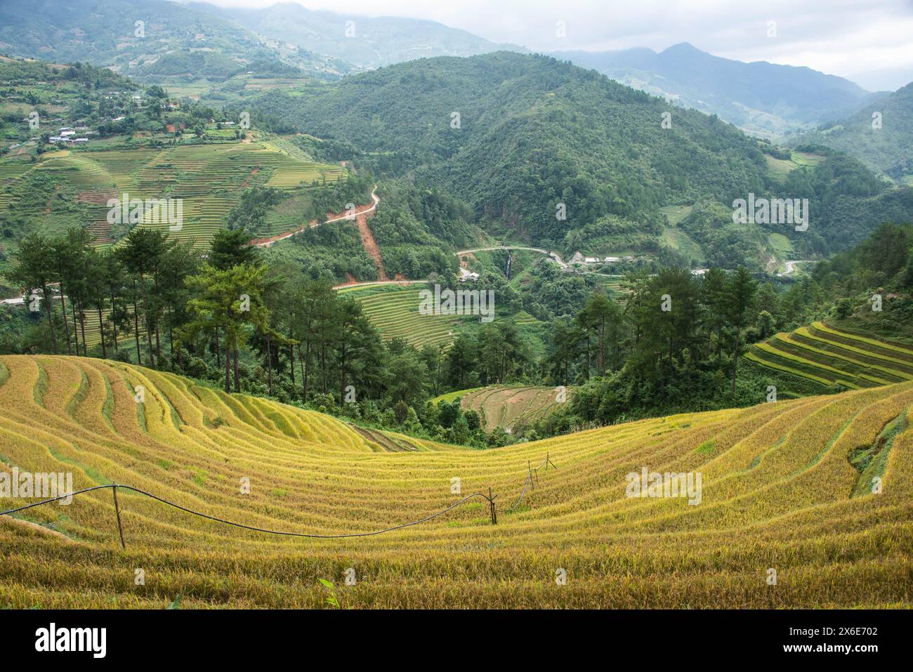 The beautiful rice terraces of Mu Cang Chai, Yen Bai, Vietnam Stock ...