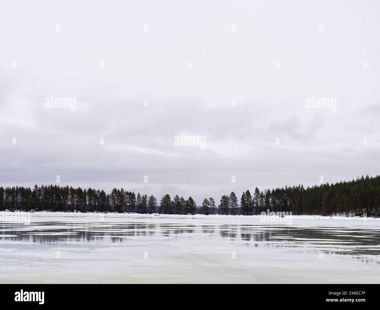 Zen frozen ice snow tree hi-res stock photography and images - Alamy