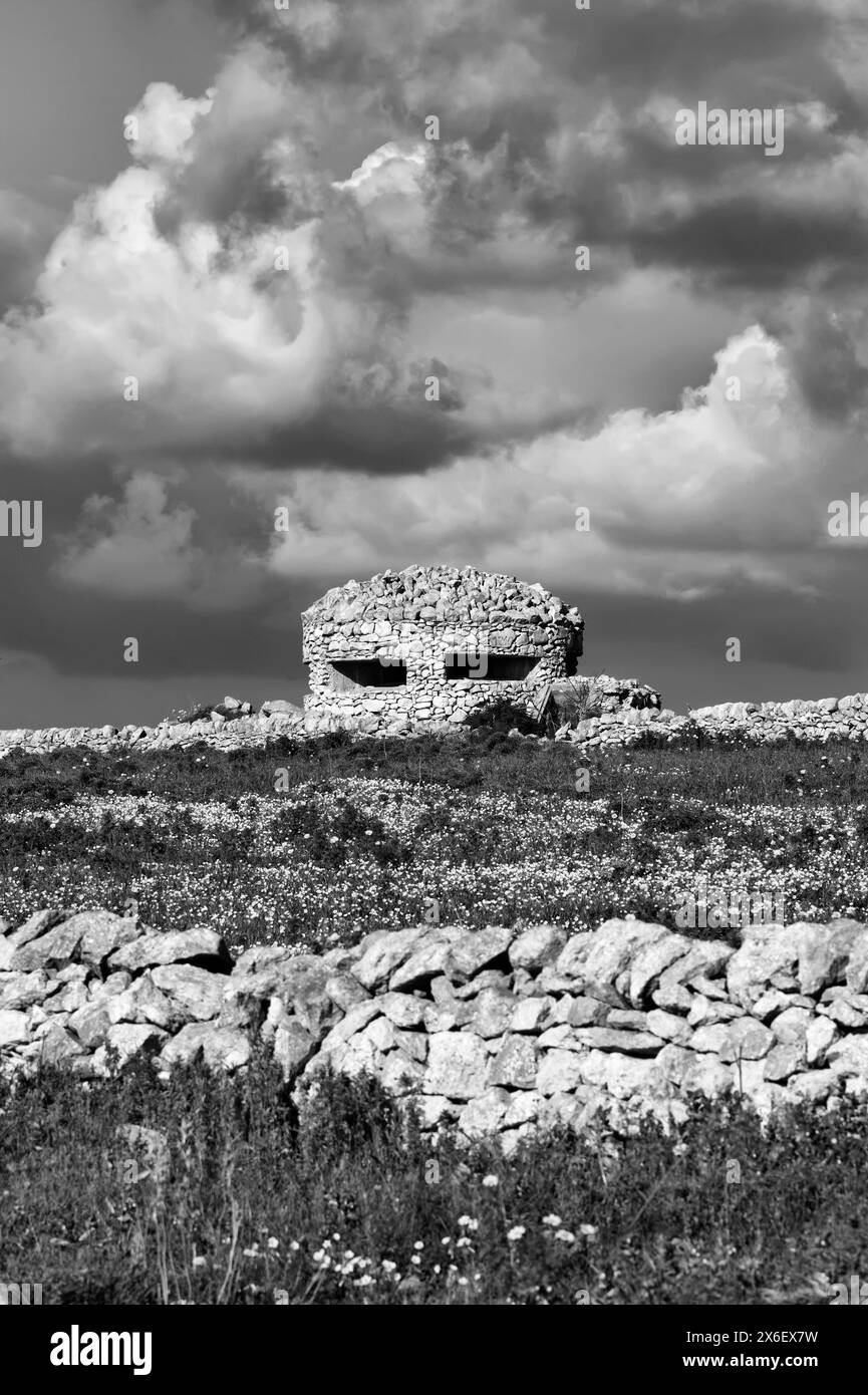 World war ii artillery bunker Black and White Stock Photos & Images - Alamy