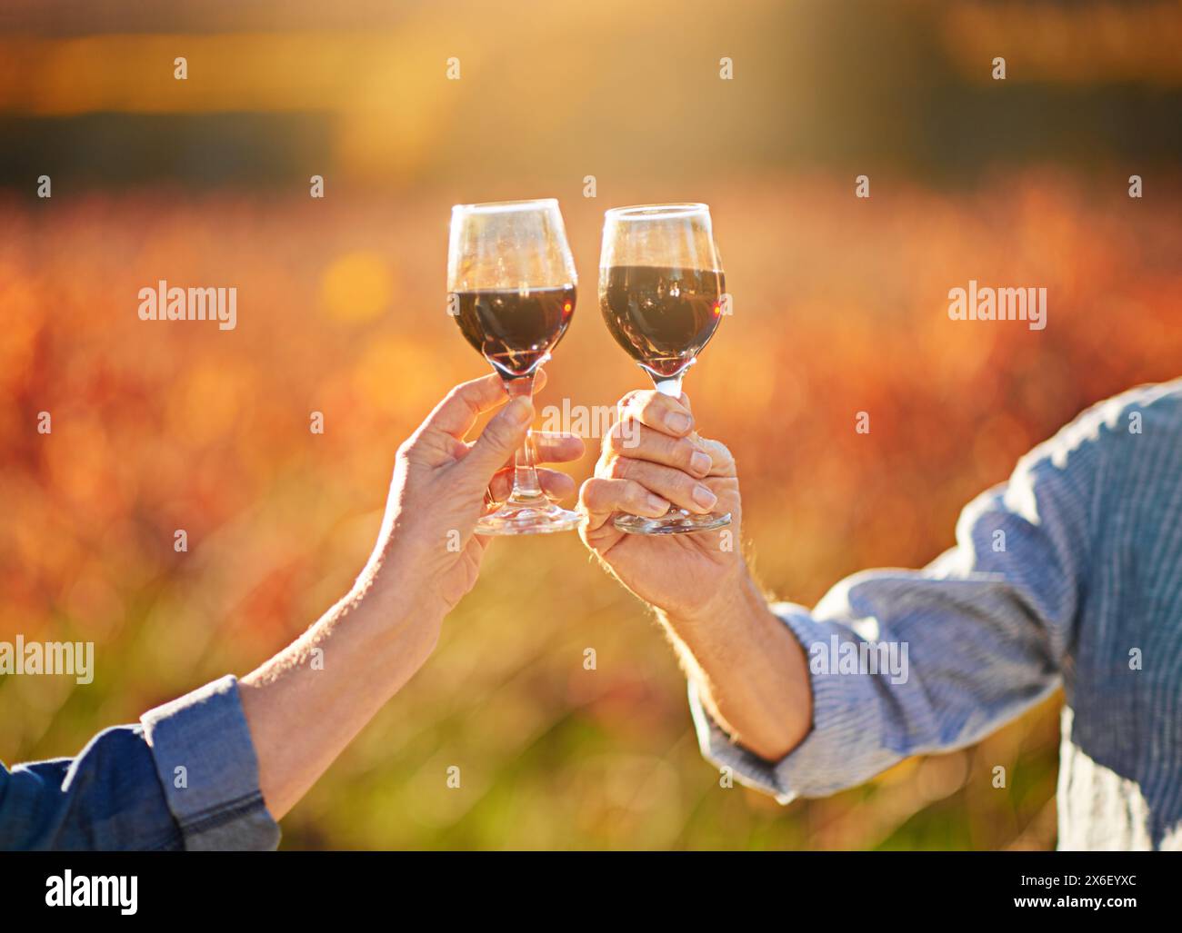 Cheers, wine glasses and hands in outdoor for love, romance and relax in vineyard or nature. Elderly people, senior couple and alcohol drink on Stock Photo