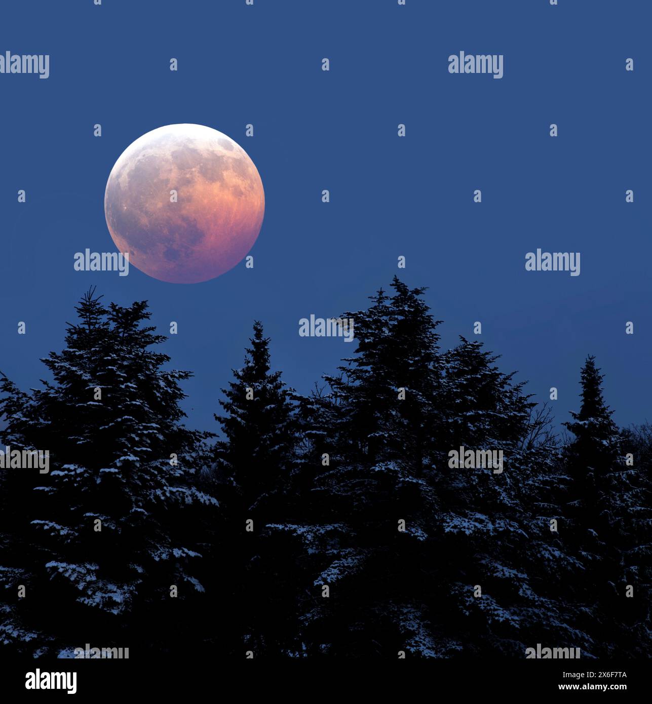 Total lunar eclipse. Stock Photo