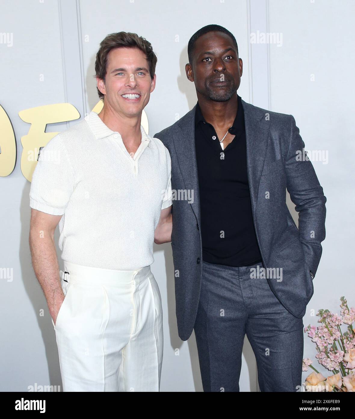 James marsden 2024 upfront hires stock photography and images Alamy(06)