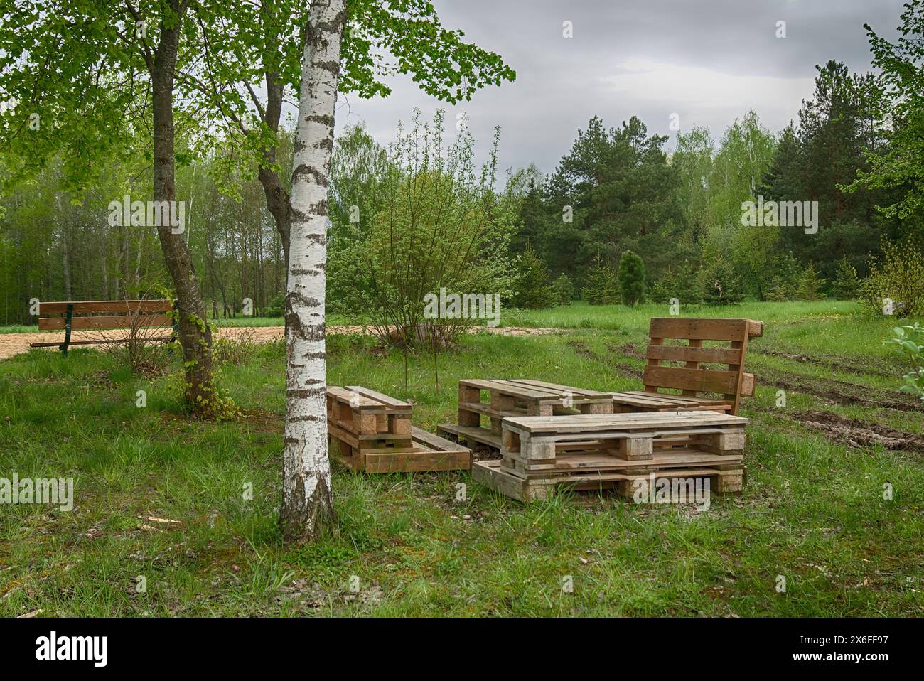 Outdoor furniture made from wood pallets surrounded by birch trees and