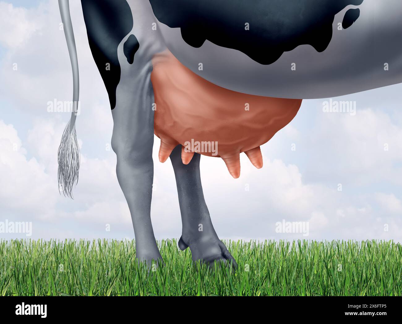 Dairy Farming Industry as Raw milk female bovine representing agricultural milking cows producing cheese butter and yogurt products as a cow with larg Stock Photo