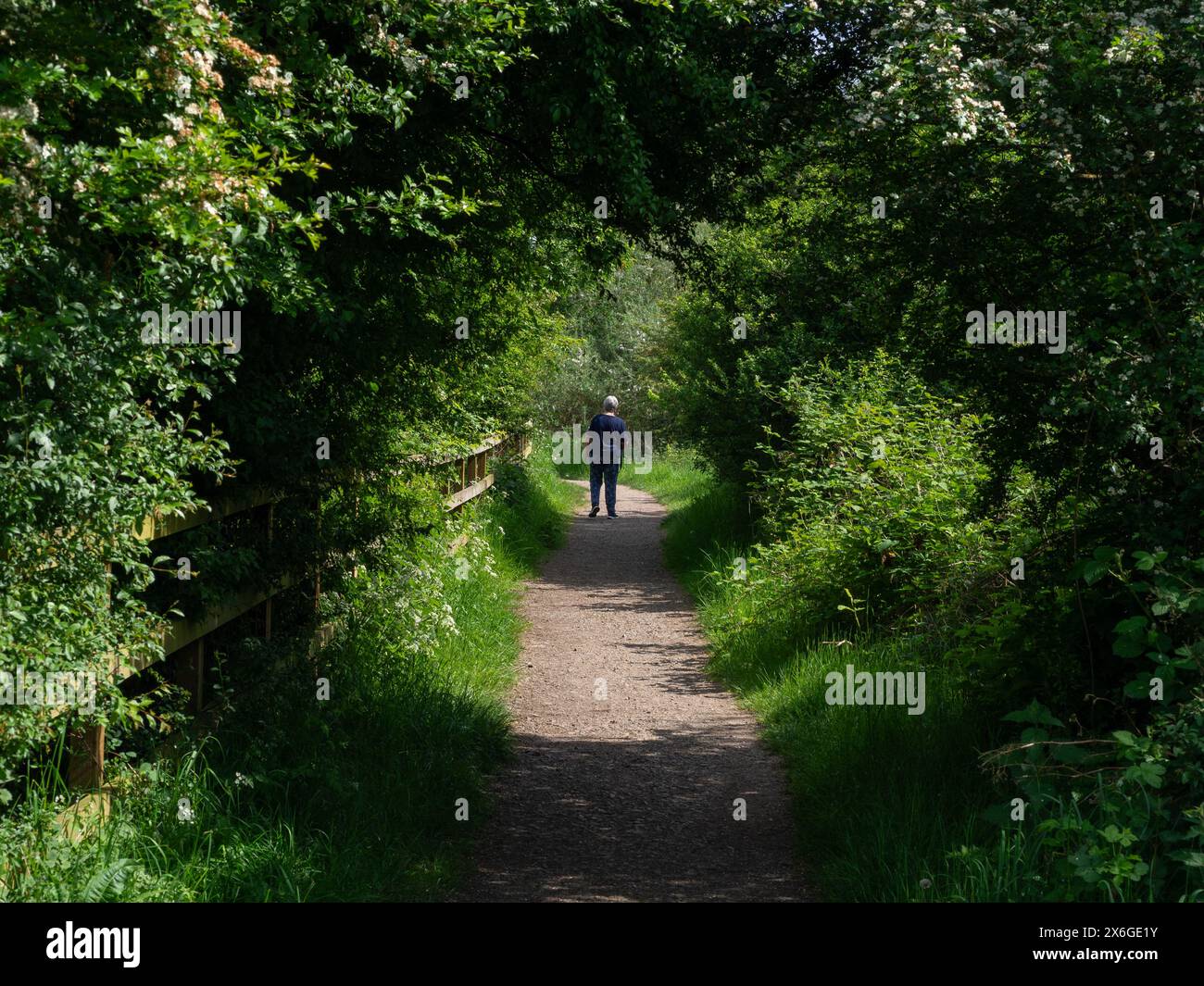 Rear View Of A Senior Woman Walking Through A Dark Tunnel Of Trees this-is-how-much-you-should-weigh-according-to-your-age-body-shape-and