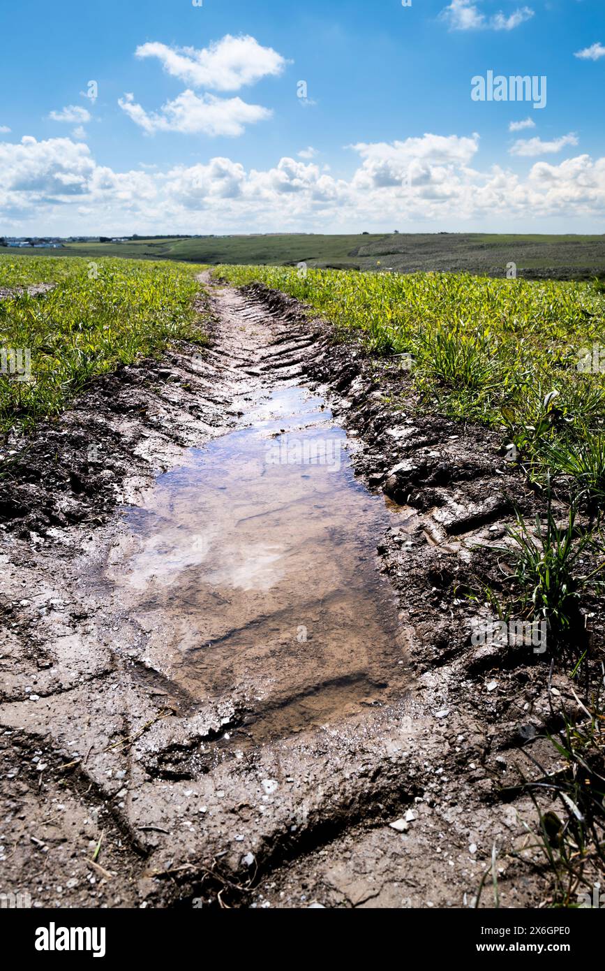 Tractor tyre in muddy field hi-res stock photography and images - Alamy