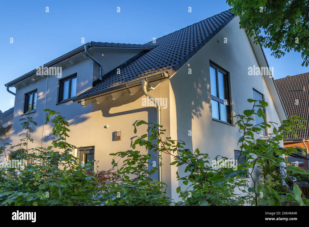 Tree in the garden casts shadows on the semi-detached house Stock Photo