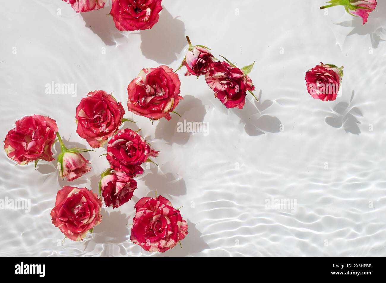 Spa, cosmetic background. Floating Pink Roses in Sparkling Water ...