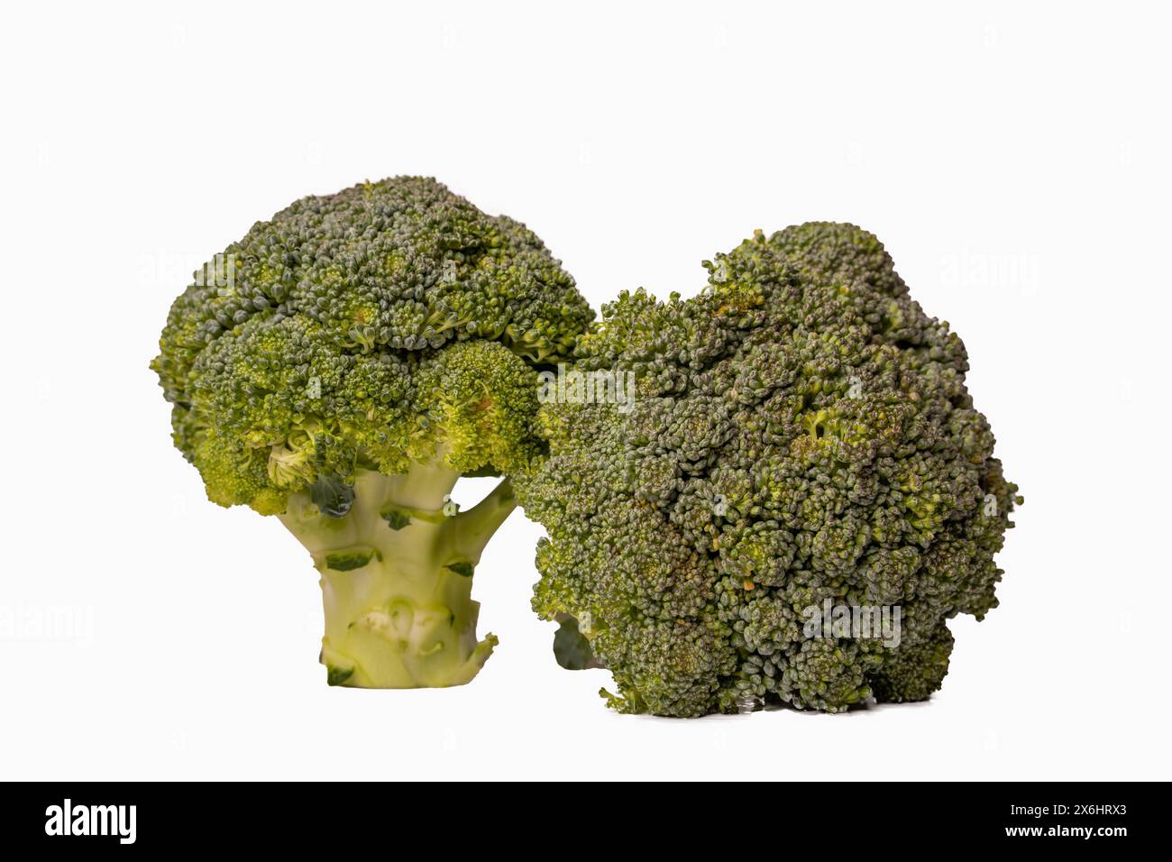 Pure Nutrient Delight: Broccolis in a Wholesome White Setting Stock Photo